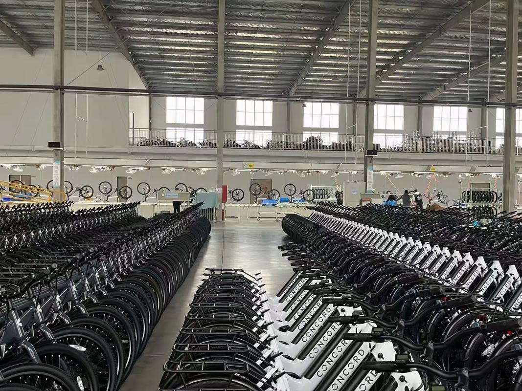 Large warehouse with rows of finished road bikes, illustrating scale of manufacturers in the list of road bike manufacturers